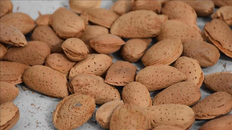 Cinsel performansı yüzde 200 artırıyor Sadece bu besini tüketmeniz yeterli